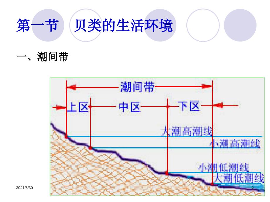 贝类的种类分布及生活习性_第2页