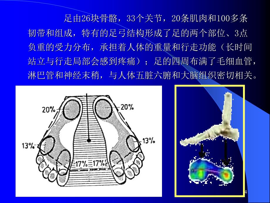 足部知识讲座PPT_第4页