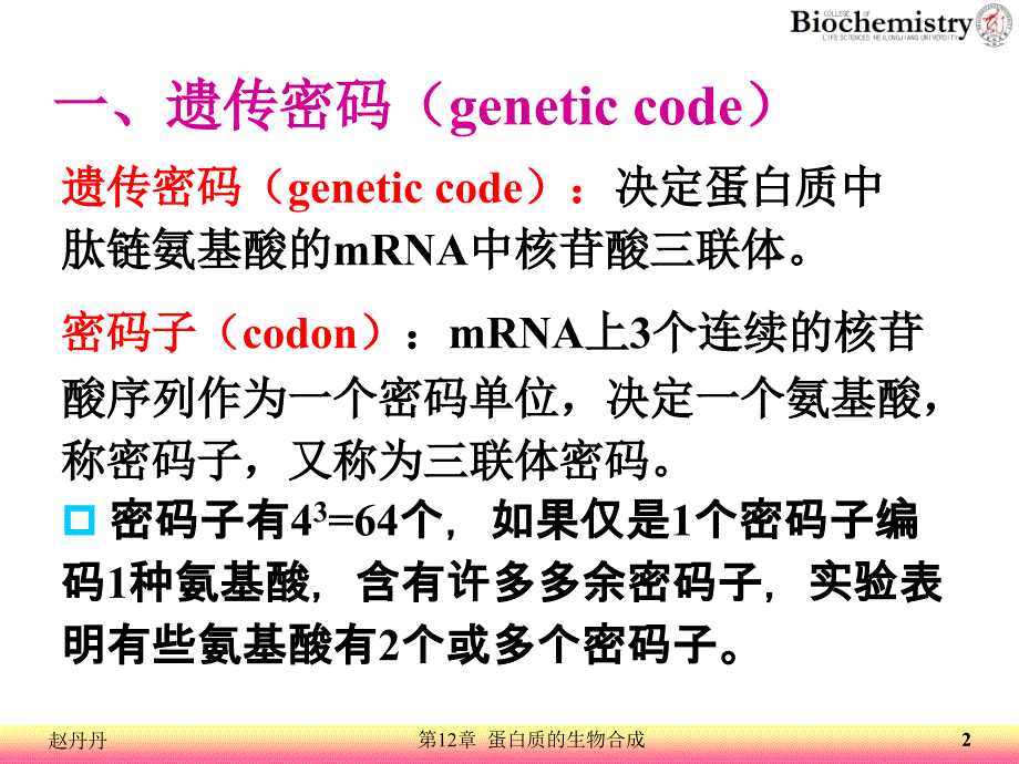 12蛋白质的生物合成_第2页