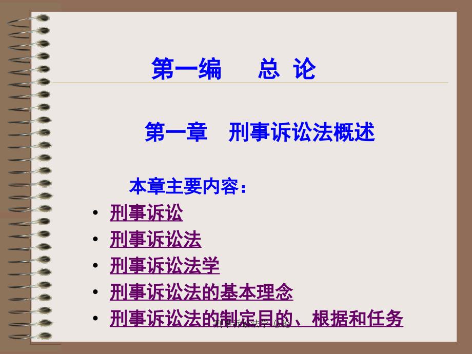 刑事诉讼法学总论课件_第2页