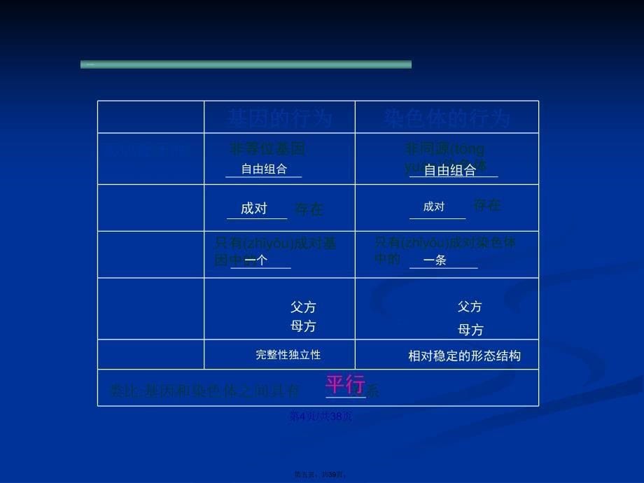 吉安市优质课一等奖基因在染色体上学习教案_第5页