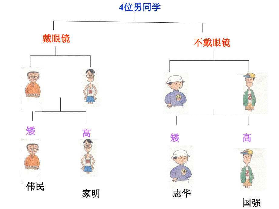 动植物的分类_第3页