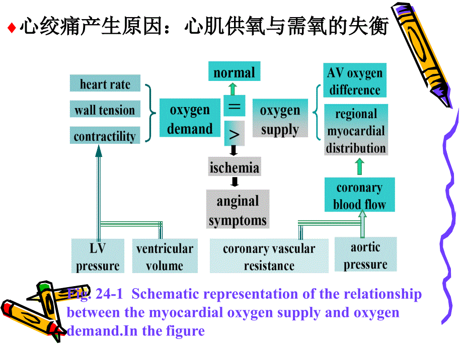 第二十二章-抗心绞痛药-(1)课件_第3页