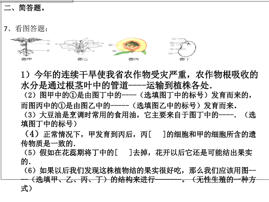 期中复习专题副本_第3页