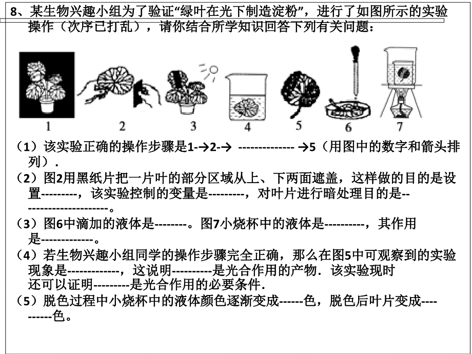 期中复习专题副本_第4页