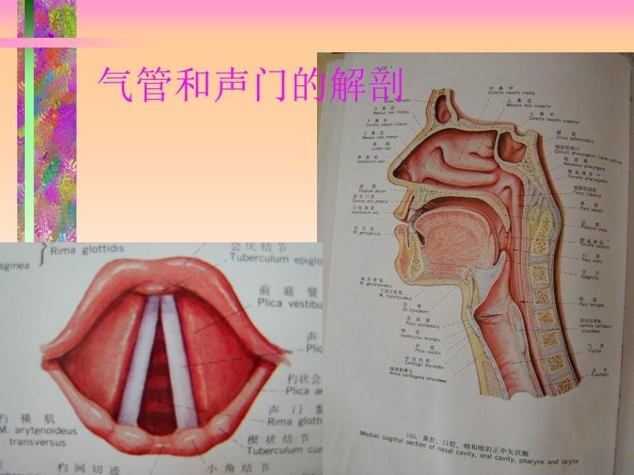 气管插管和气管切开_第5页