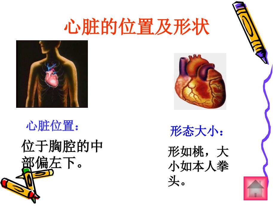 44运动起来会怎样二PPT_第4页