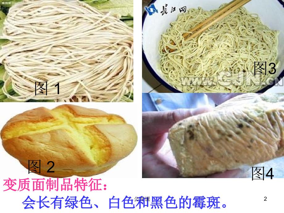 9.辨别变质食物【上课材料】_第2页