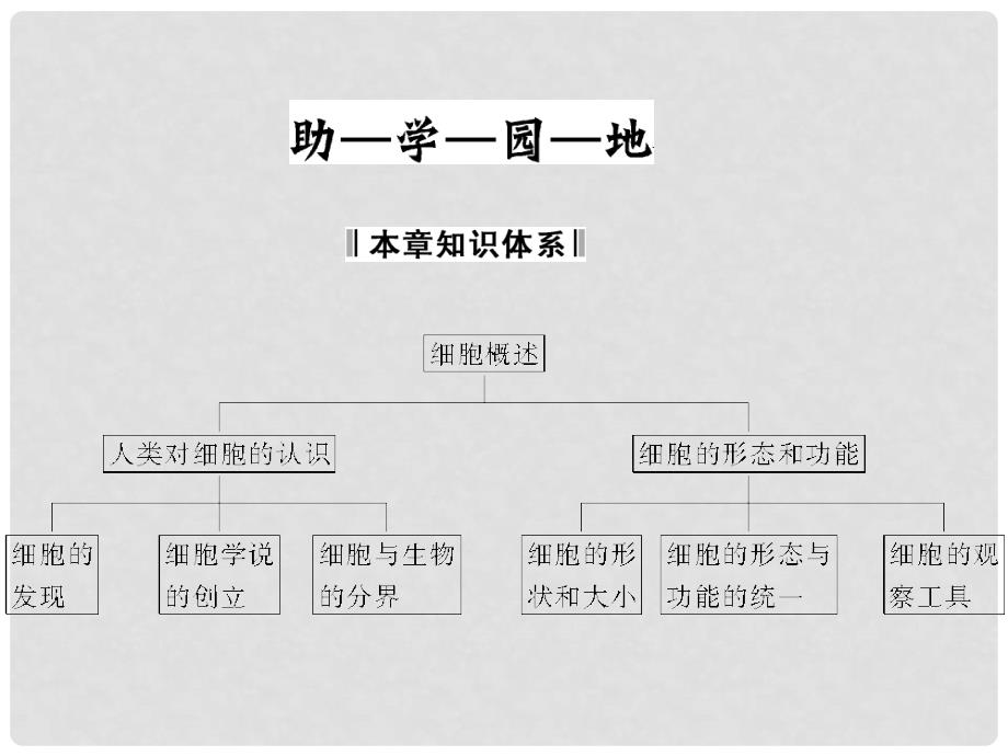 高中生物 第一单元 有机体中的细胞 第一章 细胞概述 1.1 章末课件 中图版必修1_第2页