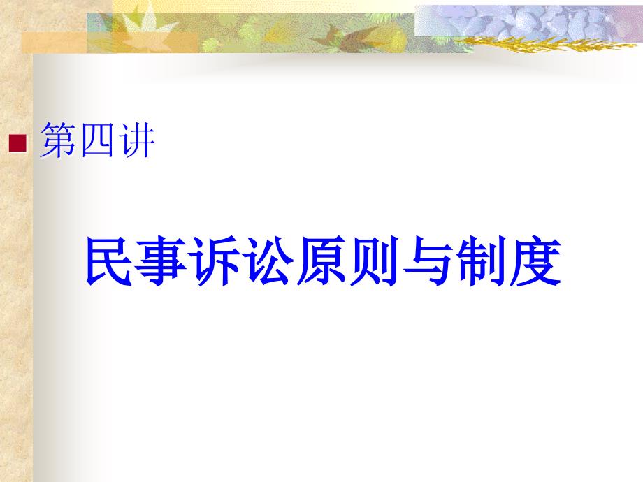 民事诉讼的原则与制度.ppt_第1页