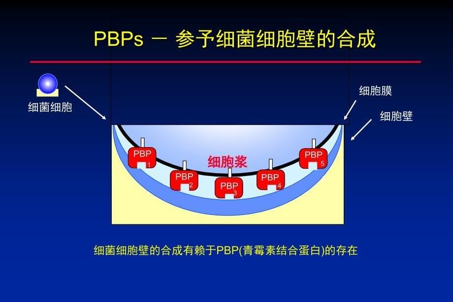 《抗生素的合理使用》PPT课件_第5页