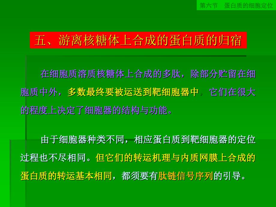 游离核糖体上合成的蛋白质的归宿_第1页