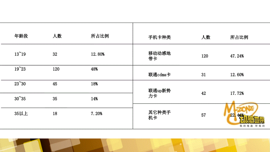 动感地带校园会展营销_第4页