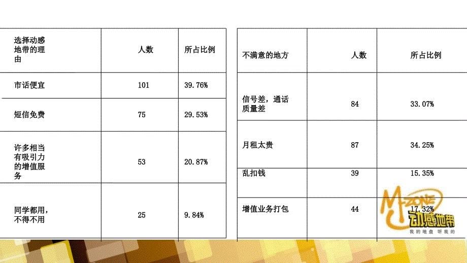 动感地带校园会展营销_第5页