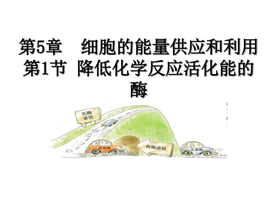 生物：51降低化学反应活化能的酶课件1新人教版必修1湖南师大_第1页