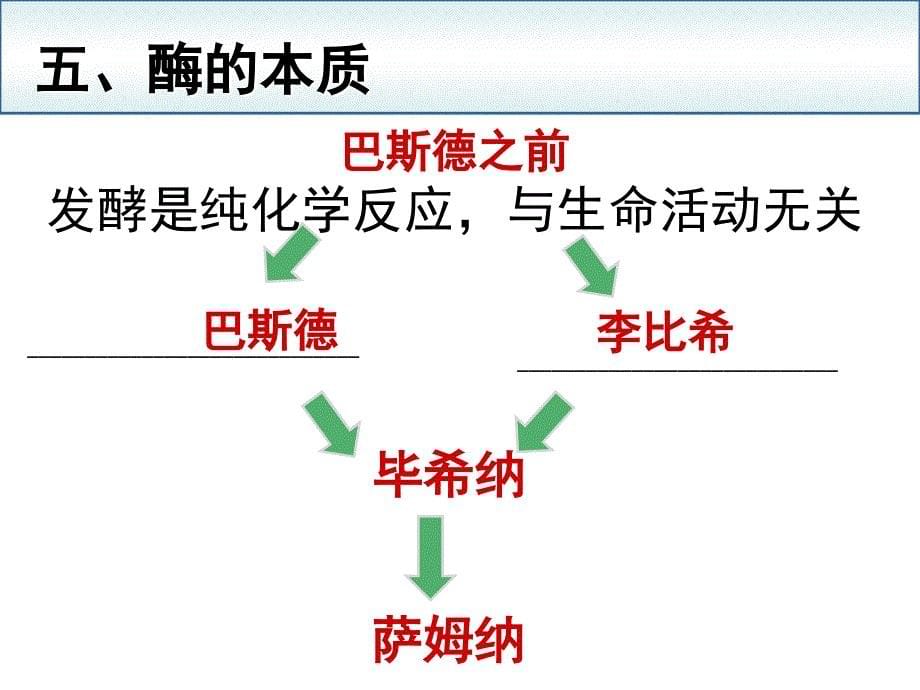 生物：51降低化学反应活化能的酶课件1新人教版必修1湖南师大_第5页