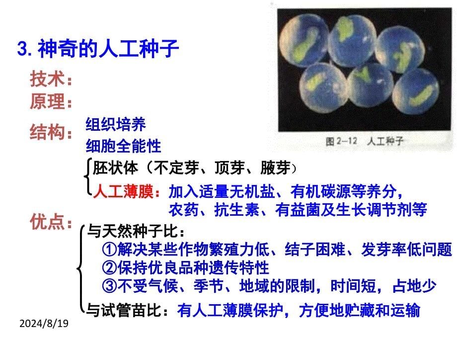 最新212植物细胞工程的实际应用上课用PPT文档_第5页