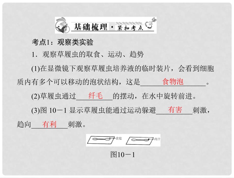 中考生物复习 第十章 实验课件 新人教版_第3页