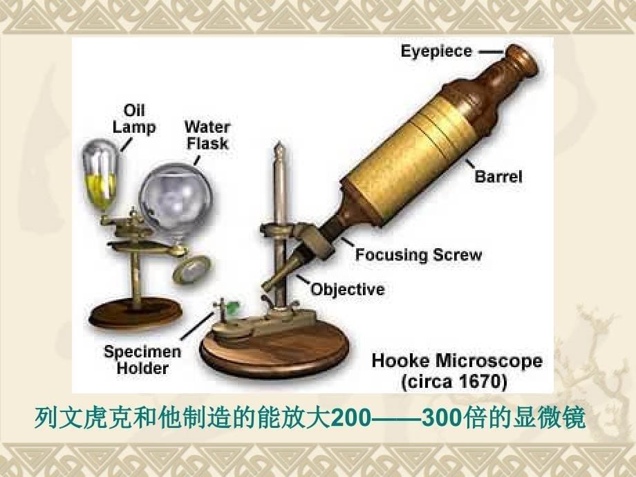 人教版八年级生物上册第四章第二节细菌课件_第5页