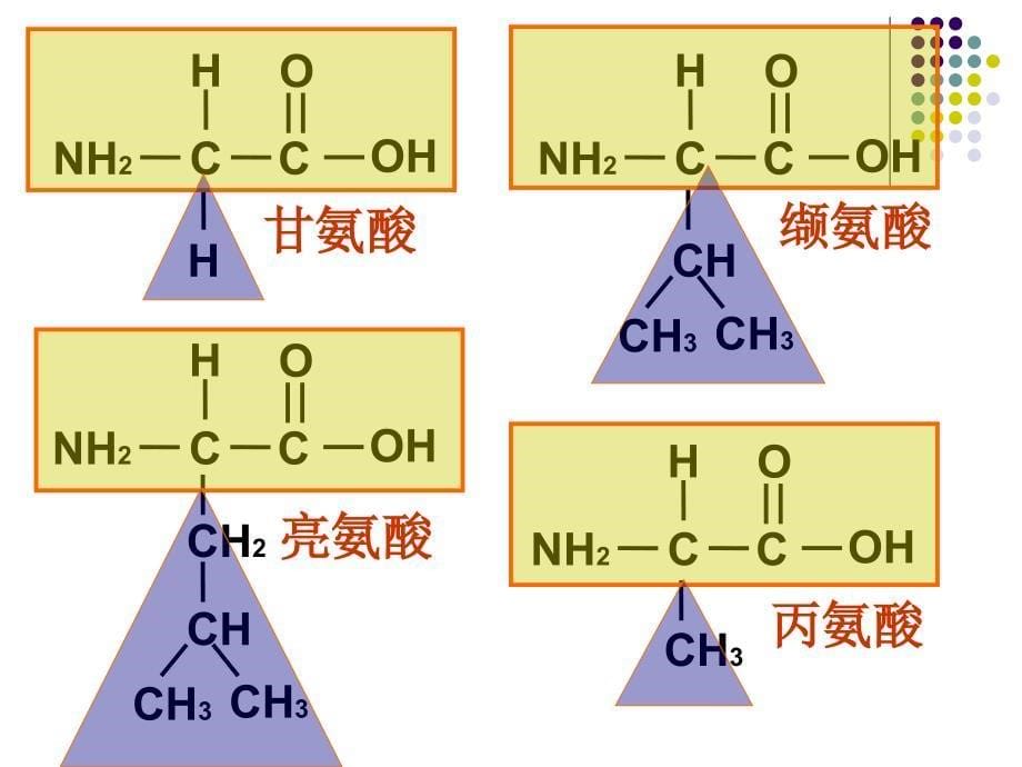 生命活动的主要承担者蛋白质讲课课件 (2)_第5页