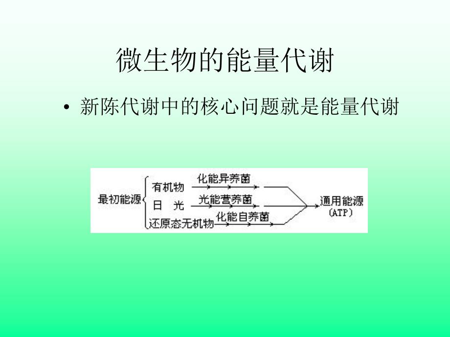 微生物合成代谢与分解代谢的联系_第4页