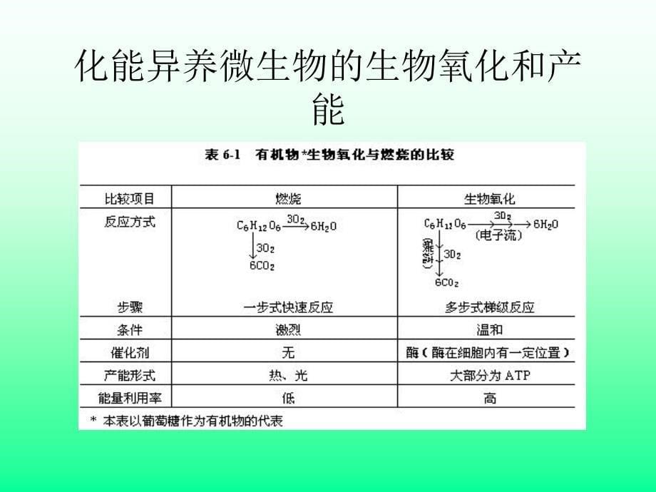 微生物合成代谢与分解代谢的联系_第5页