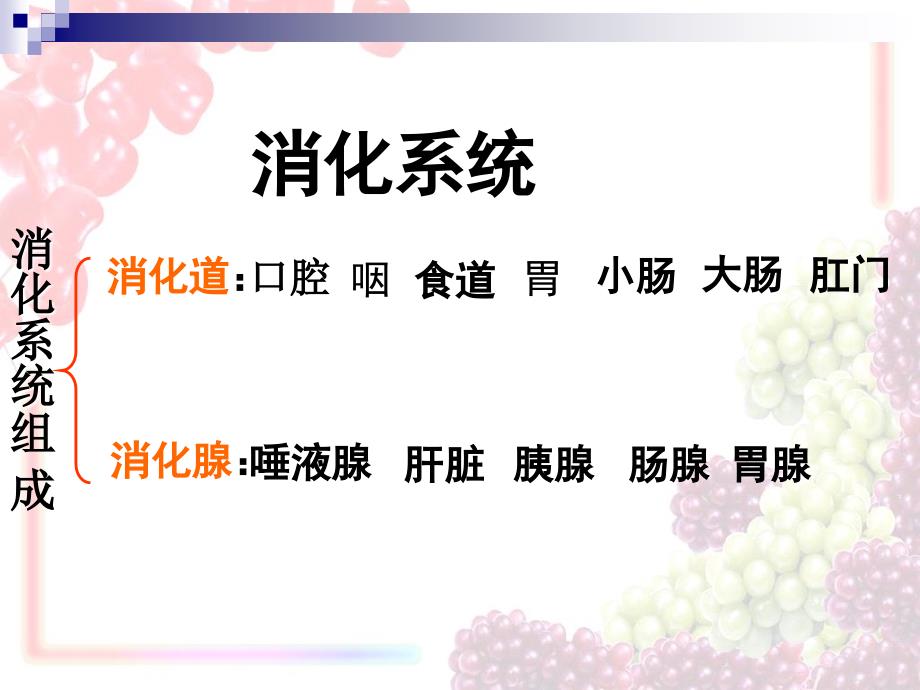 鲁科版生物七年级上册4.2.2消化和吸收课件2_第1页