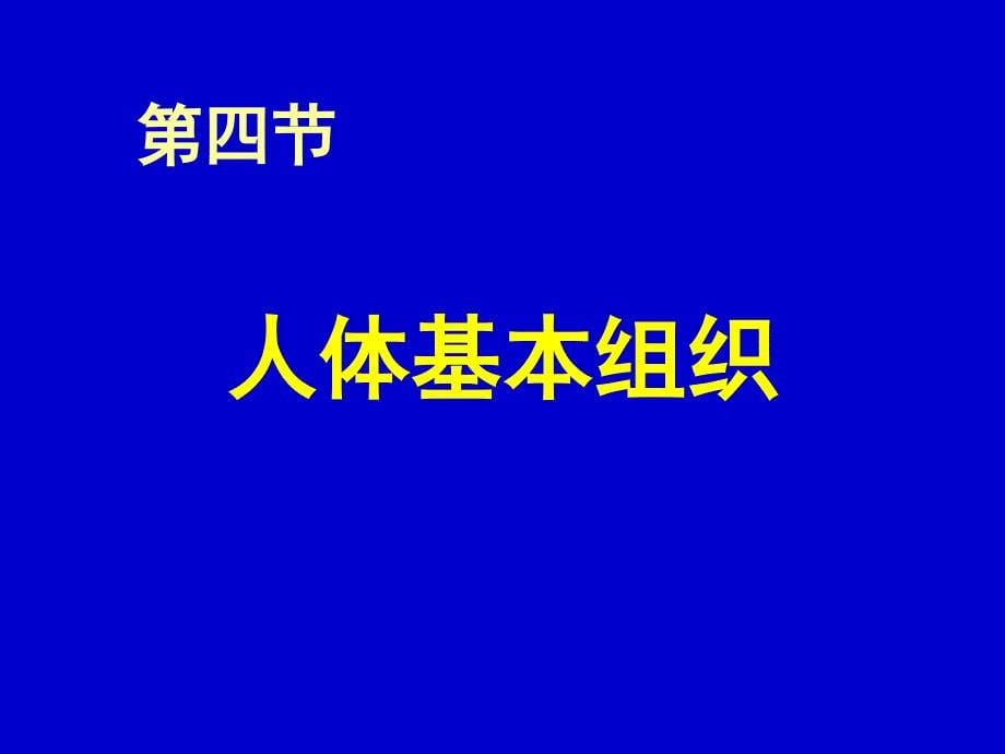 《组织胚胎学》课件-细胞和基本组织(上皮组织)_第5页