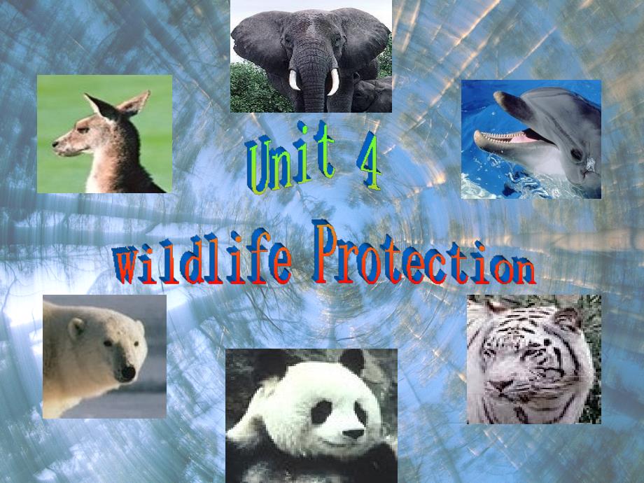 book2Unit4Wildlifeprotection课件人教版必修2_第1页