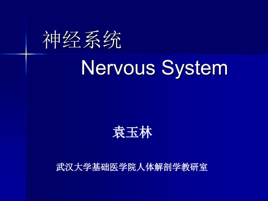 《神经系统药学》PPT课件.ppt_第1页