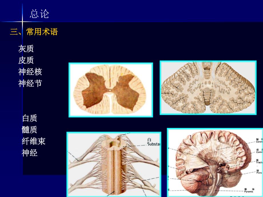 《神经系统药学》PPT课件.ppt_第4页