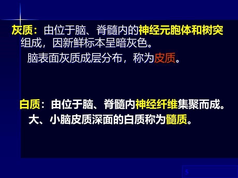 《神经系统药学》PPT课件.ppt_第5页