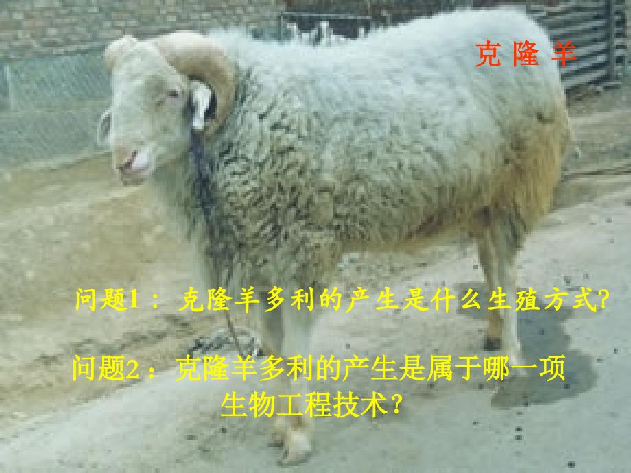 生物工程专题复习_第2页