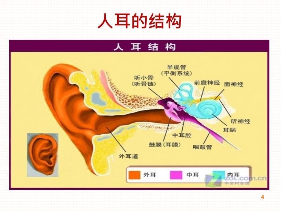 3月3日全国爱耳日爱耳护耳健康听力_第5页