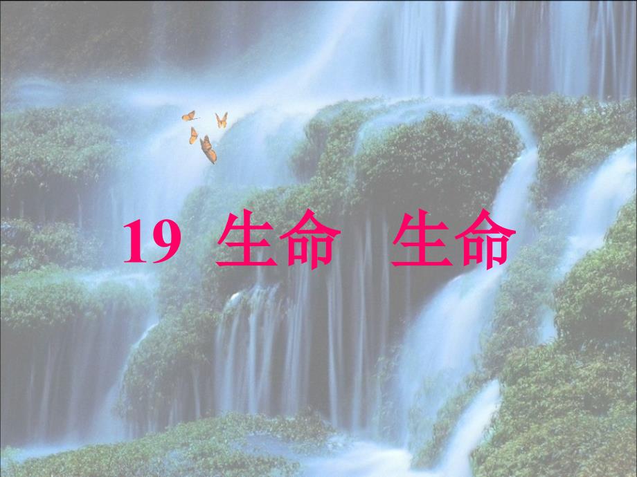 《19　生命生命》_第2页