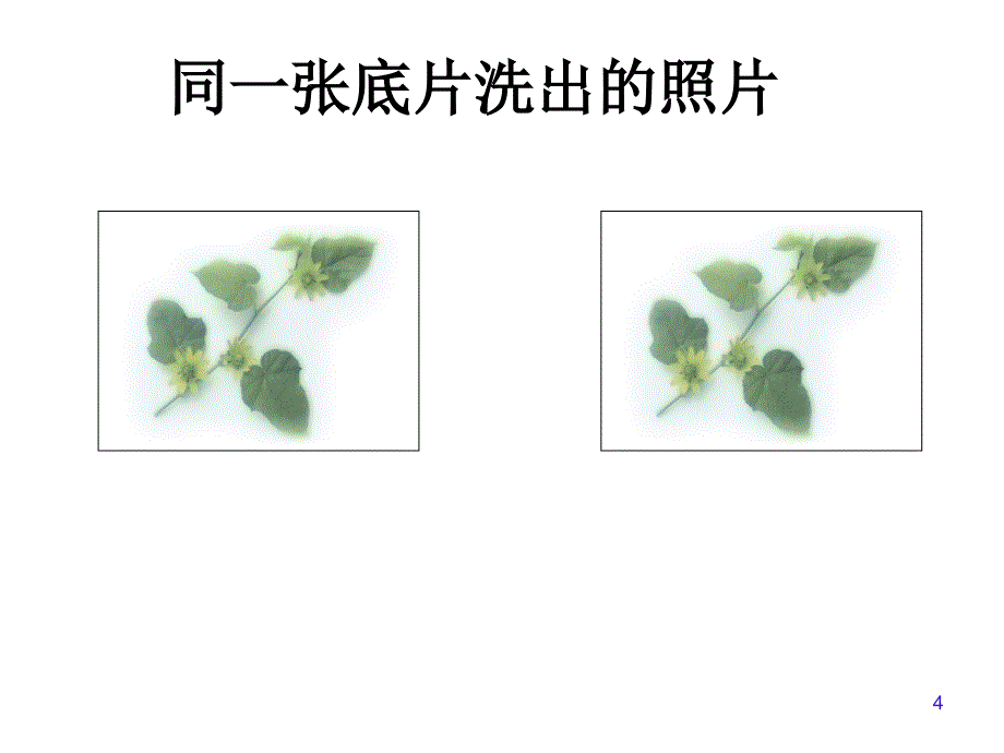 12.1全等三角形PPT教学课件_第4页