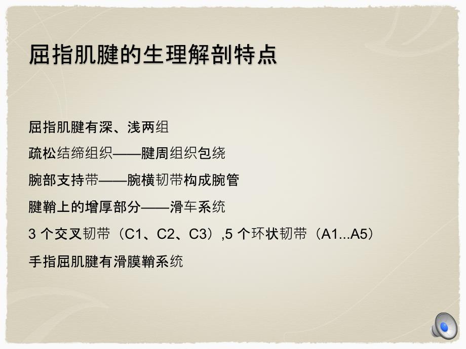 手部肌腱损伤的诊断与治疗课件_第3页