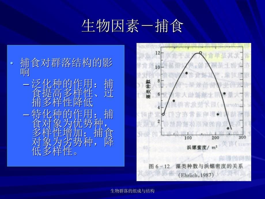 生物群落的组成与结构课件_第5页