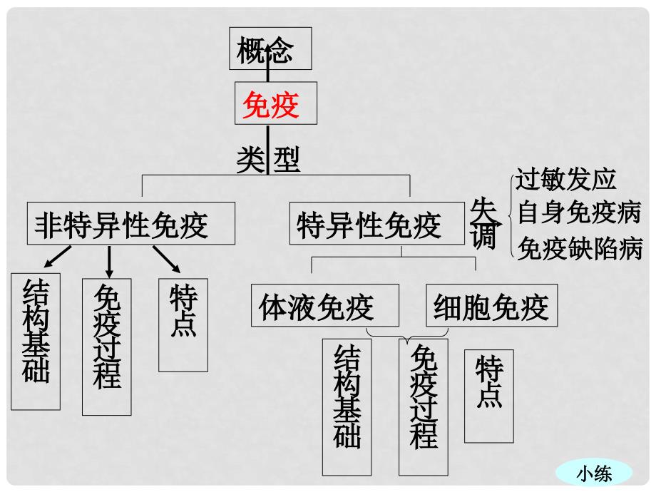 高三生物高考复习《分子与细胞》专题系列课件19《光合作用和生物固氮及免疫》_第3页