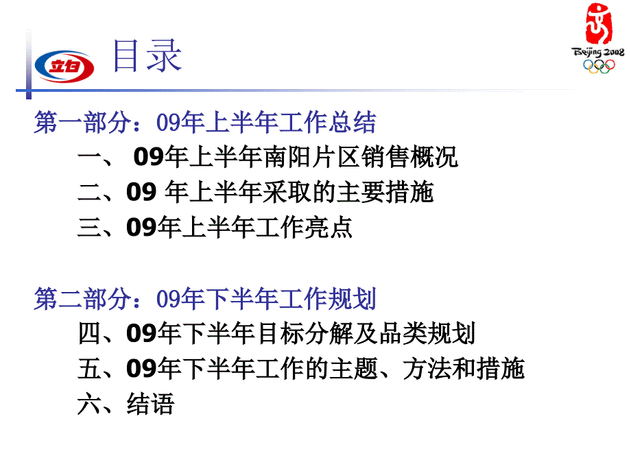 立白河南南阳片区述职报告_第2页