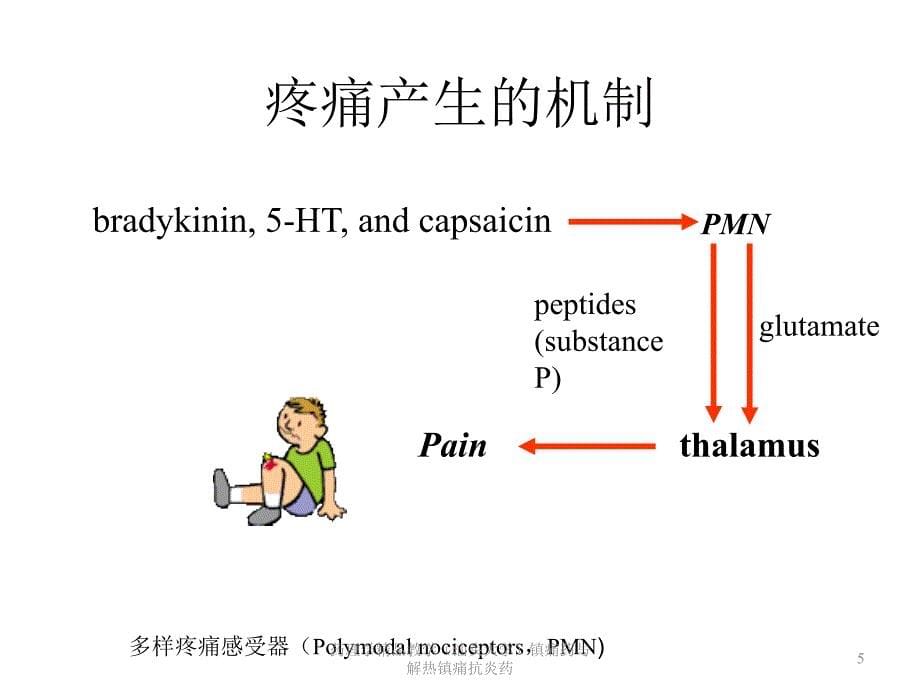 药理学精品教学汕头大学镇痛药与解热镇痛抗炎药课件_第5页