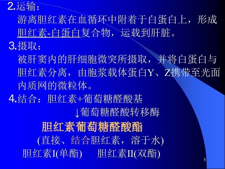 黄疸教学PowerPoint演示文稿_第5页