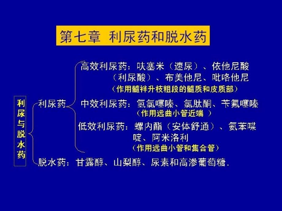 兽医理学课件(第7章)利尿药和脱水药_第2页