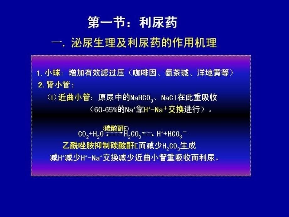 兽医理学课件(第7章)利尿药和脱水药_第5页