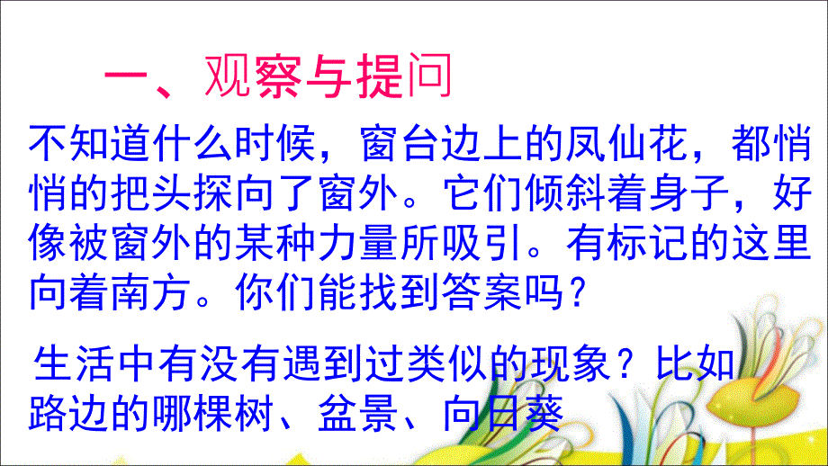 植物角里的科学问题.ppt_第2页