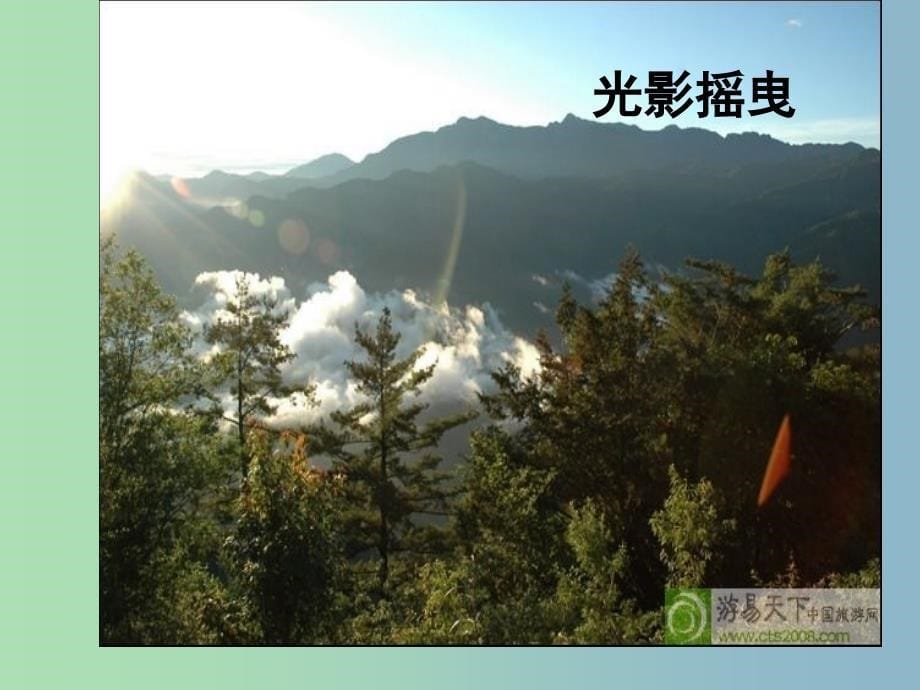 八年级语文上册 18 阿里山纪行课件 苏教版.ppt_第5页