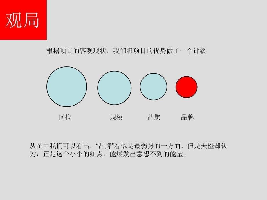 兴汝金城开盘前推广策略51P_第5页