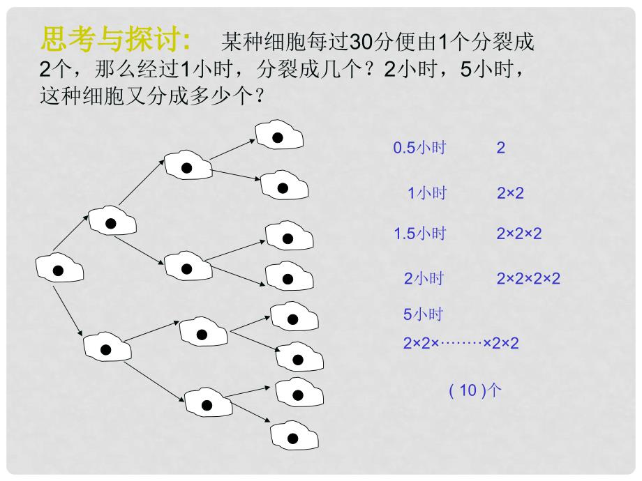 六年级数学上册 2.9《有理数的乘方》课件2 鲁教版五四制_第2页