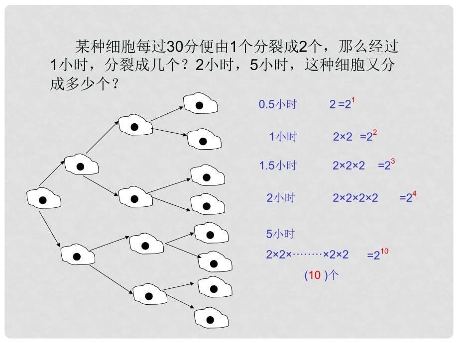 六年级数学上册 2.9《有理数的乘方》课件2 鲁教版五四制_第5页