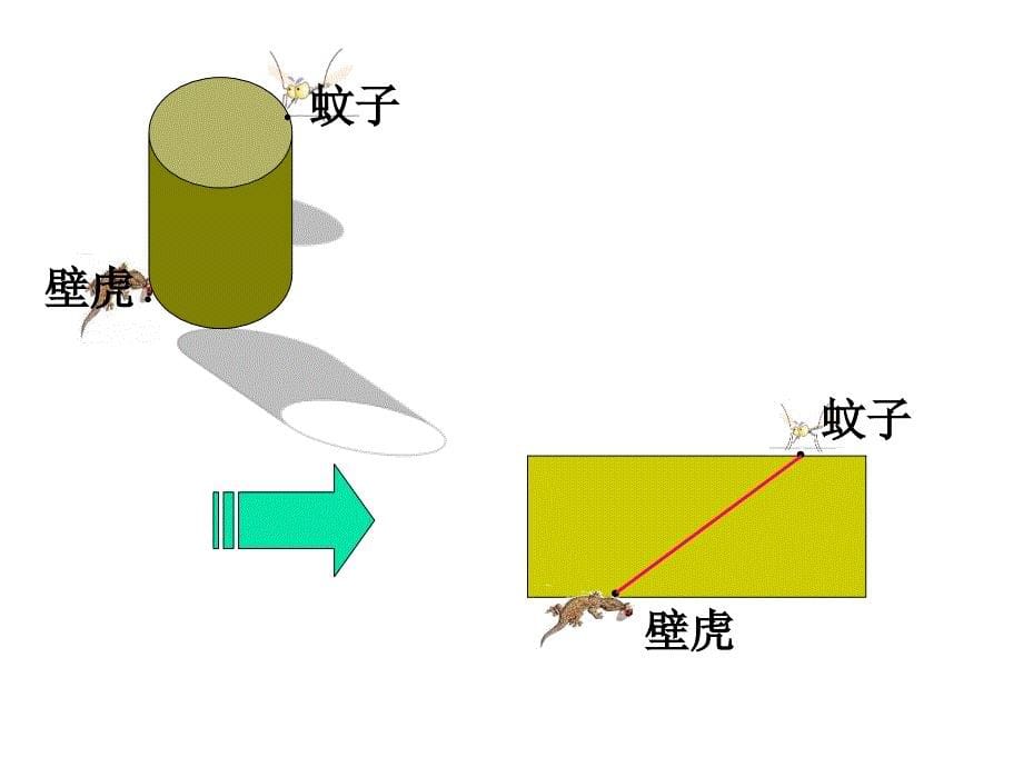 4.3立体图形的表面展开图[精选文档]_第5页